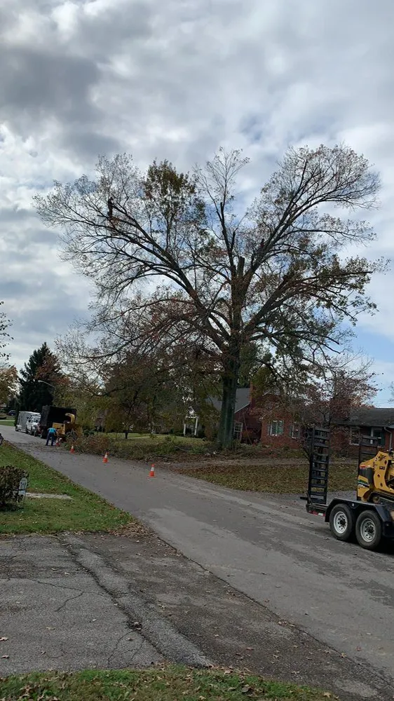 Top-rated lawn care service for outdoor upgrades in Shelbyville, KY by Chapin Tree Service