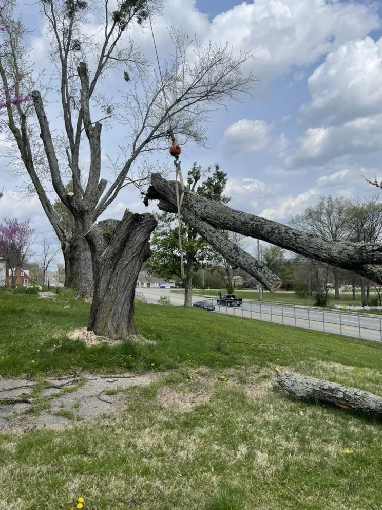 Trusted garden landscaping in Shelbyville, KY - Chapin Tree Service