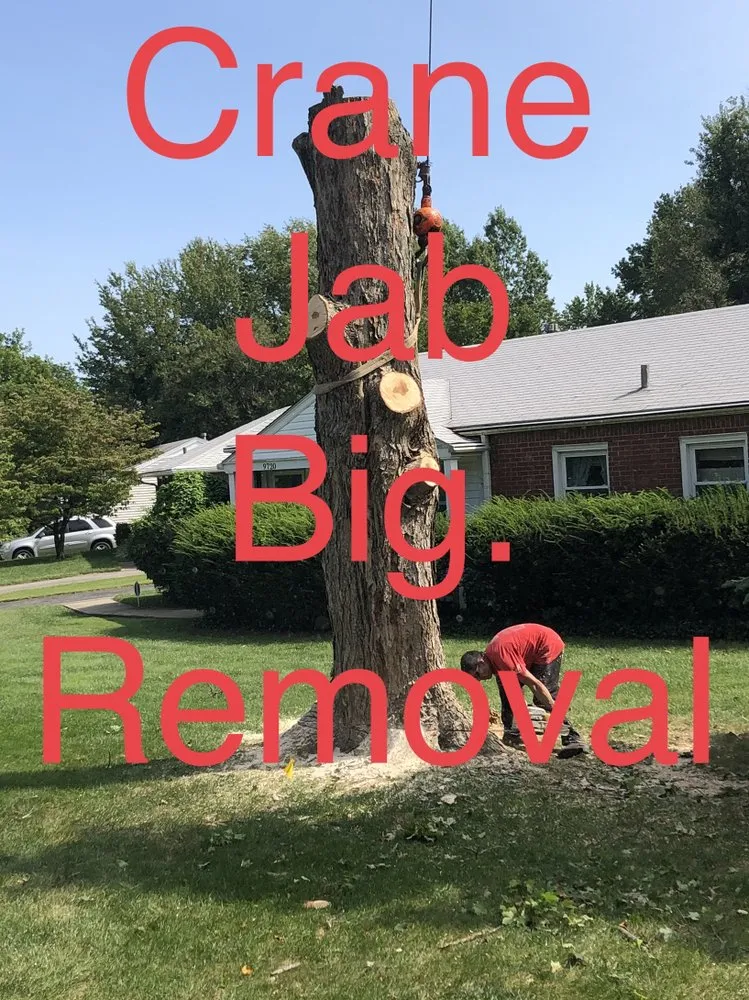 Affordable lawn mowing service in Shelbyville, KY by Chapin Tree Service