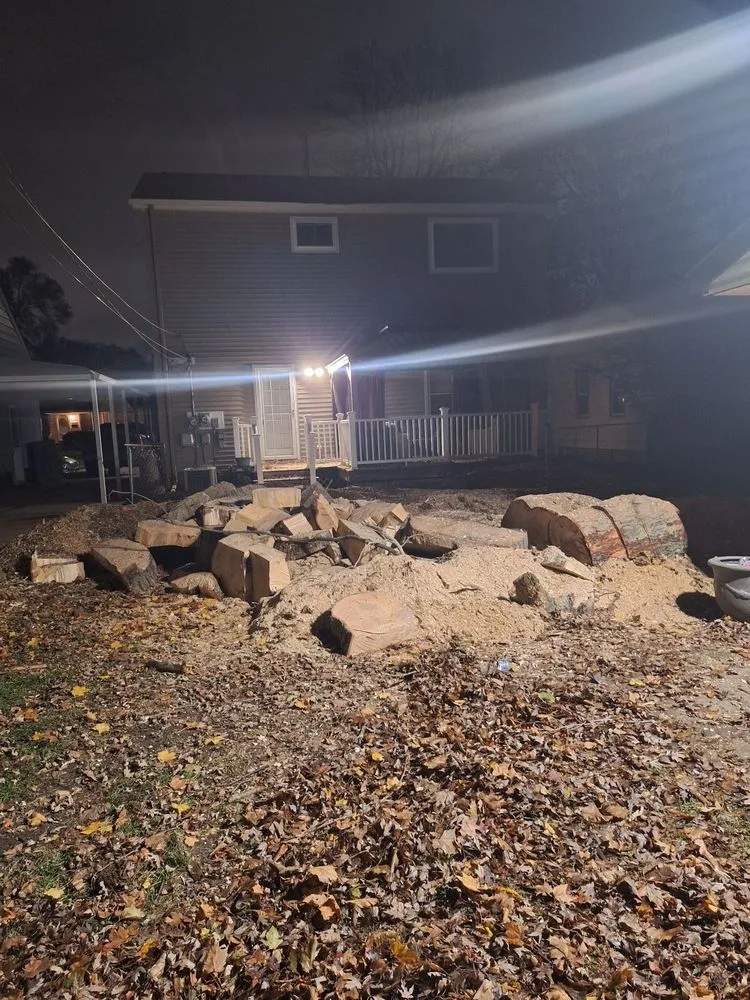 Affordable landscape installation for year-round maintenance in Waterford Township, MI by Chapines Tree Service Landscaping