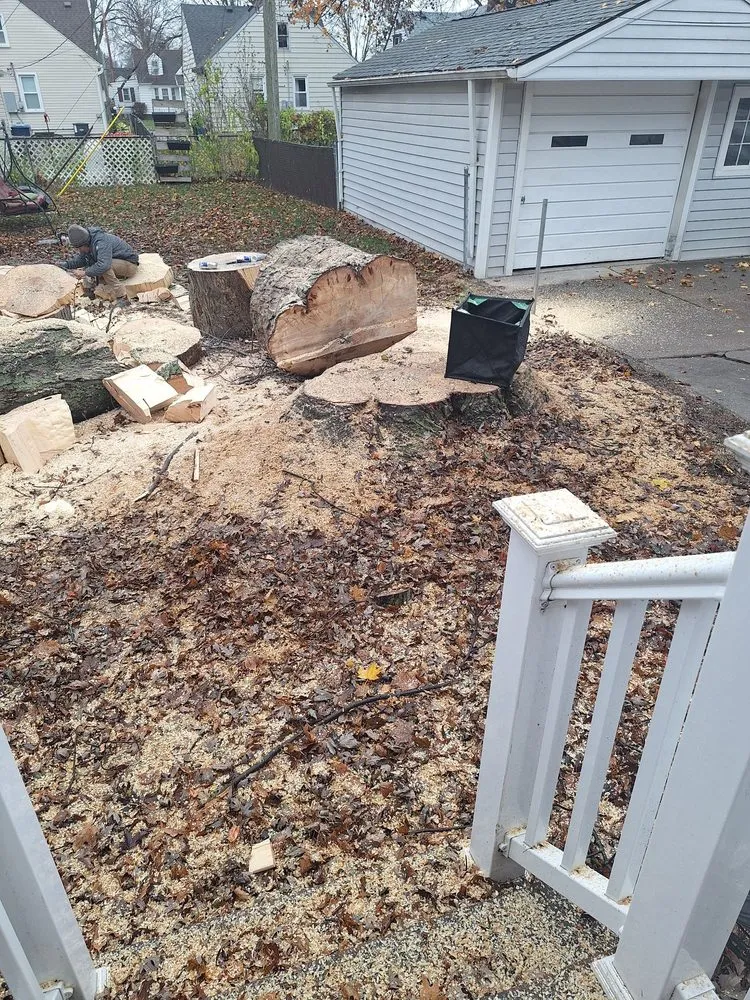 Professional garden landscaping in Waterford Township, MI by Chapines Tree Service Landscaping