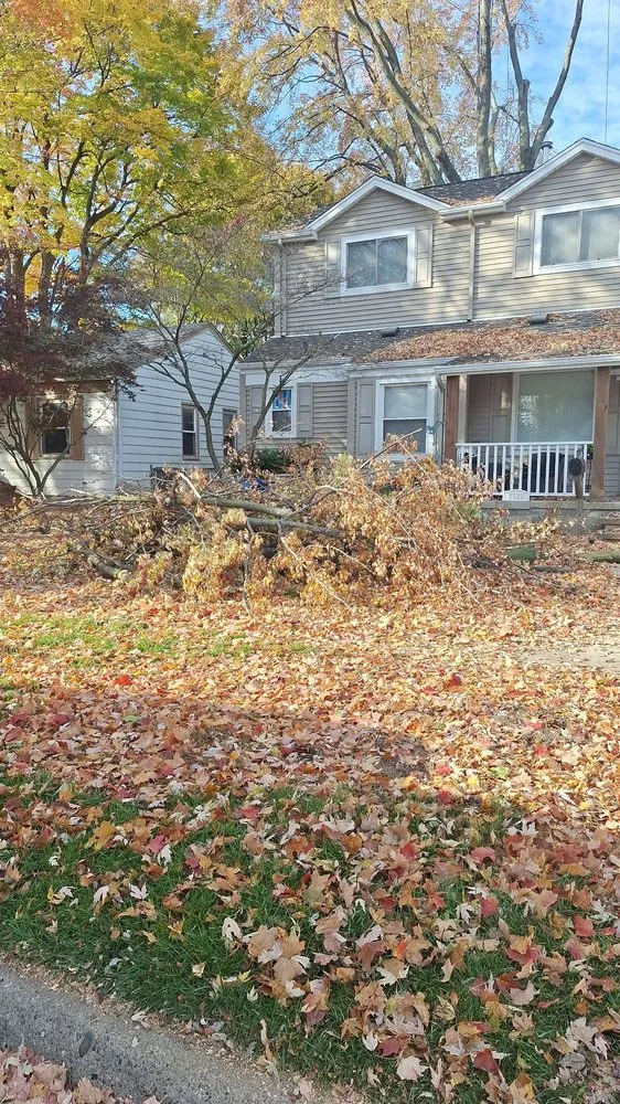 Affordable landscaping services experts serving Waterford Township, MI - Chapines Tree Service Landscaping