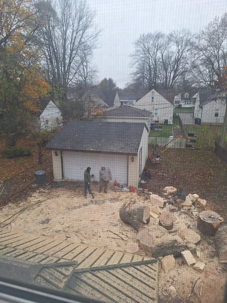 Local landscape installation experts serving Waterford Township, MI - Chapines Tree Service Landscaping