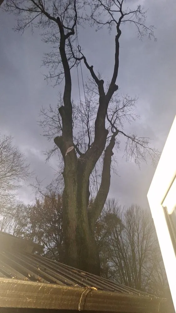 Affordable outdoor landscaping for residential properties across Waterford Township, MI - Chapines Tree Service Landscaping