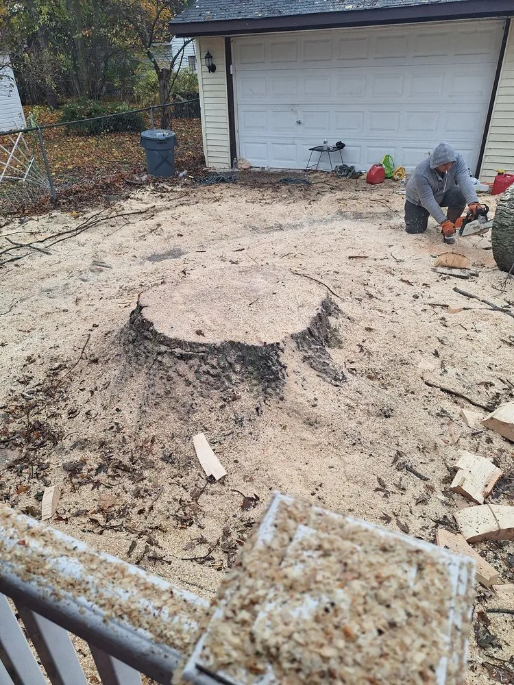 Reliable landscape installation in Waterford Township, MI by Chapines Tree Service Landscaping