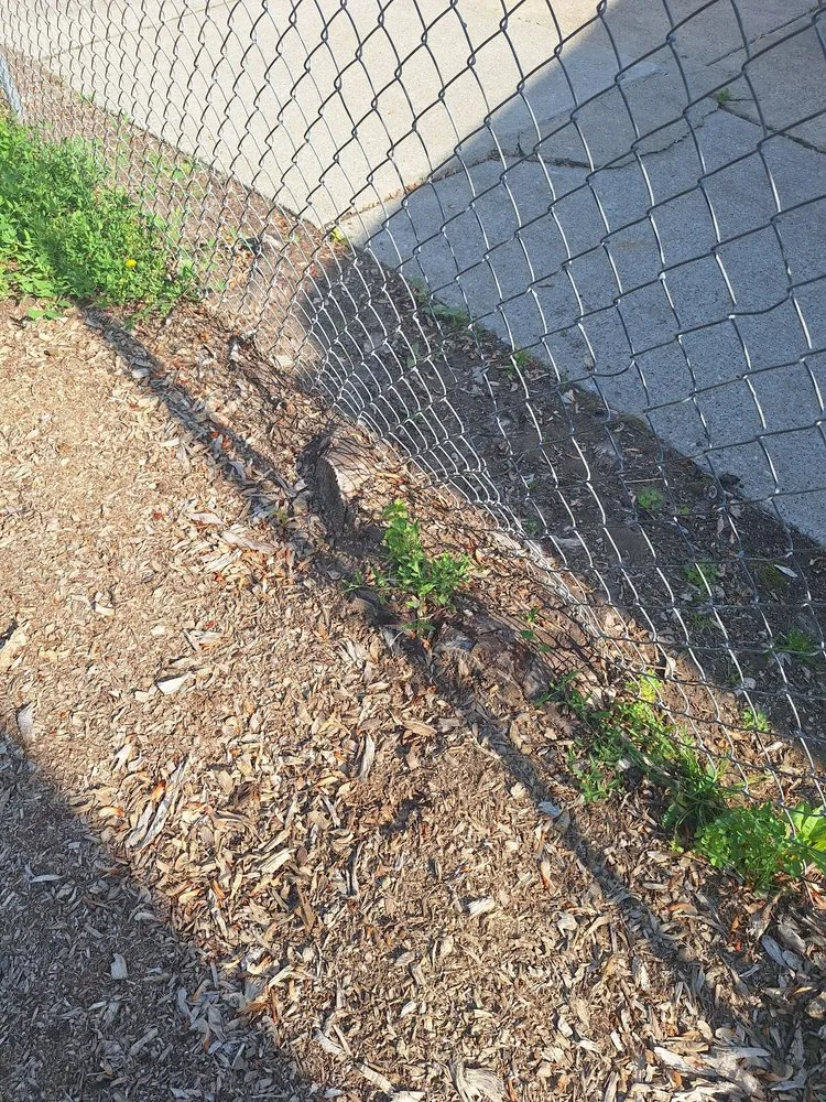 Trusted landscape design in Waterford Township, MI - Chapines Tree Service Landscaping