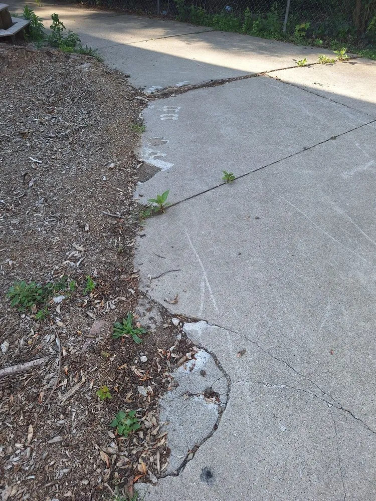 Affordable outdoor landscaping in Waterford Township, MI by Chapines Tree Service Landscaping