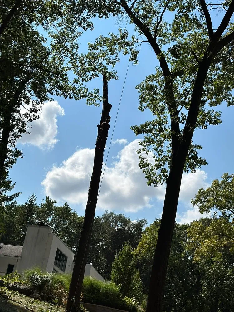 Expert landscape design in Waterford Township, MI - Chapines Tree Service Landscaping