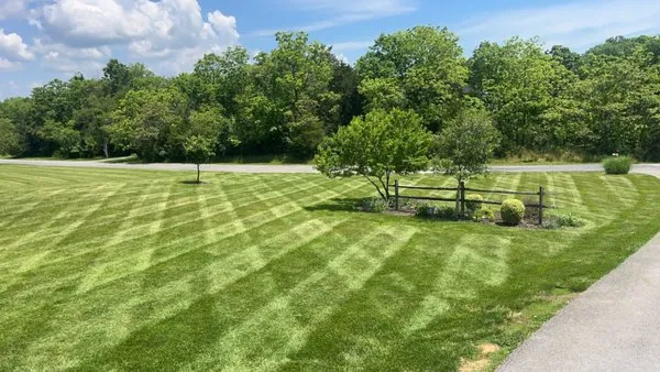 Chapman Bros Landscaping