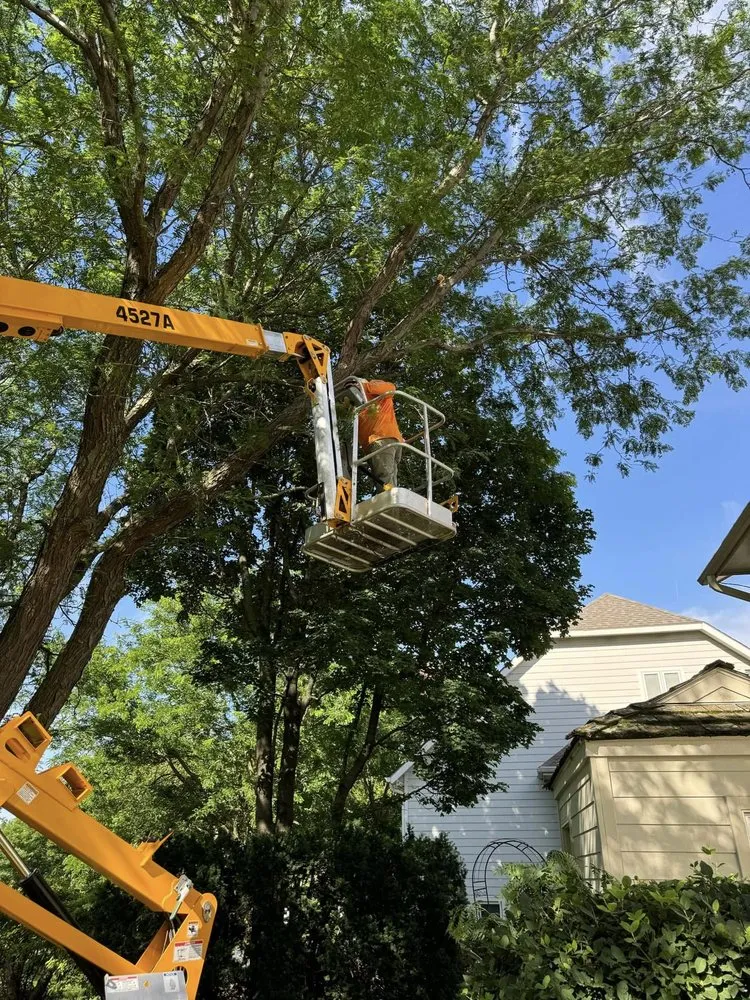 Affordable garden landscaping experts serving Junction City, KS - Chapman Creek Property Maintenance