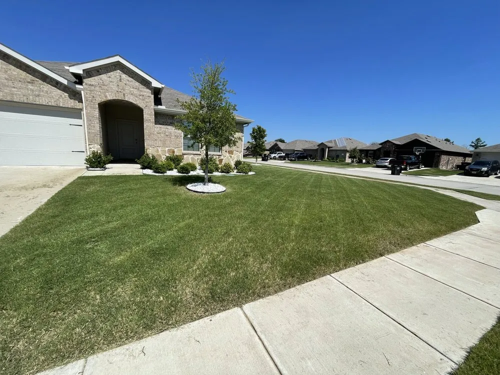 Reliable yard maintenance for homes in Caddo Mills, TX by Chapman Curb Appeal