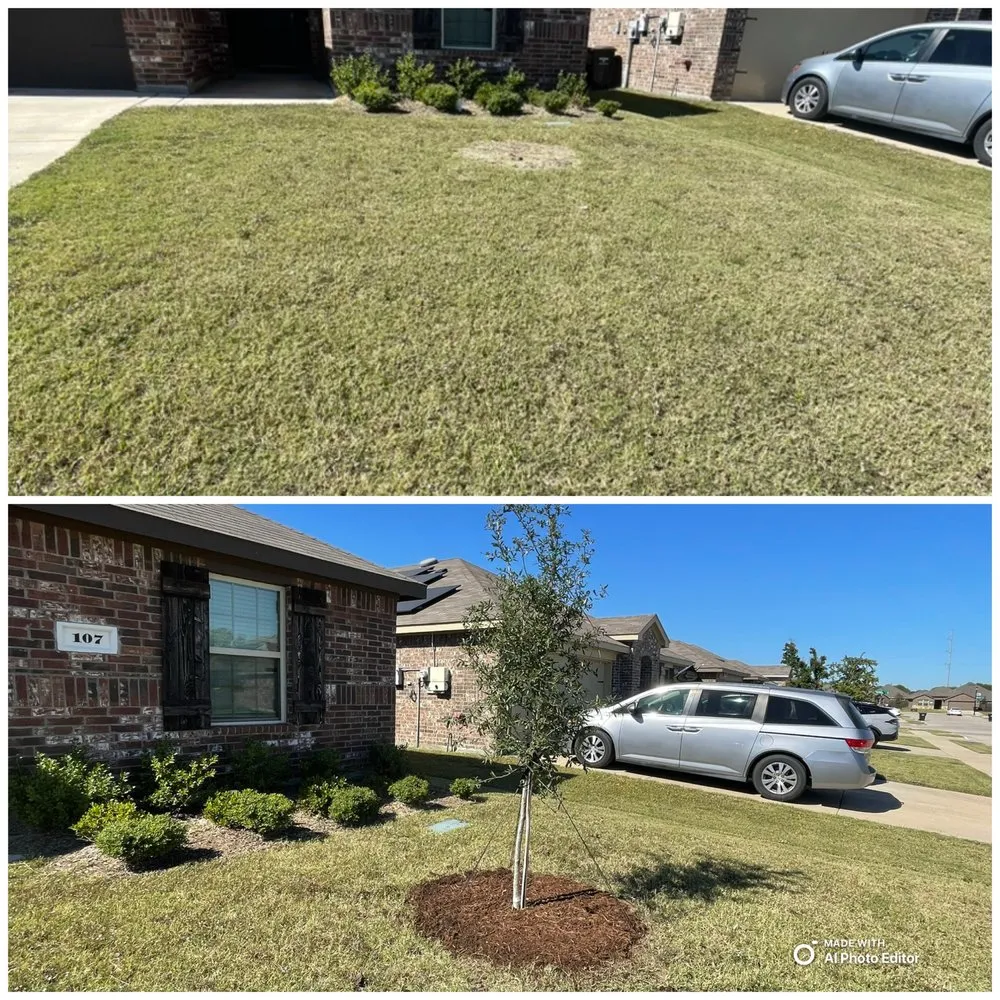 Expert yard maintenance near you across Caddo Mills, TX - Chapman Curb Appeal