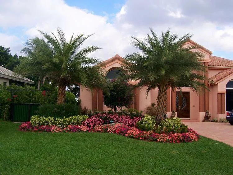 Custom outdoor landscaping in Saint Cloud, FL by Chapman Outdoor Services