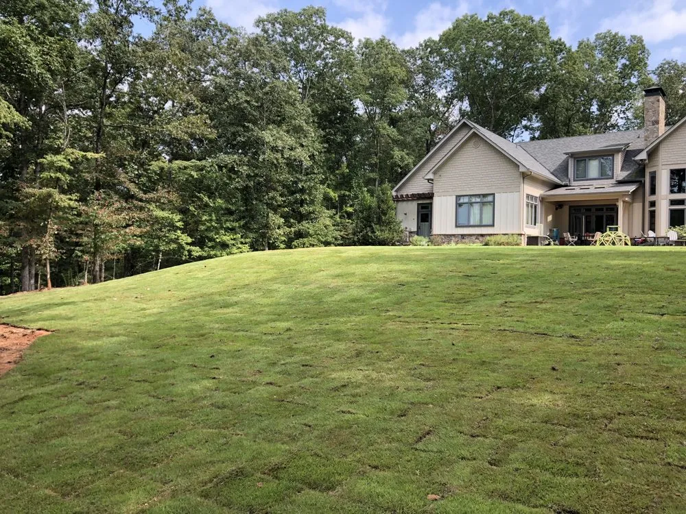 Top-rated yard cleanup service experts serving Dahlonega, GA - Chapman Outdoor Solutions