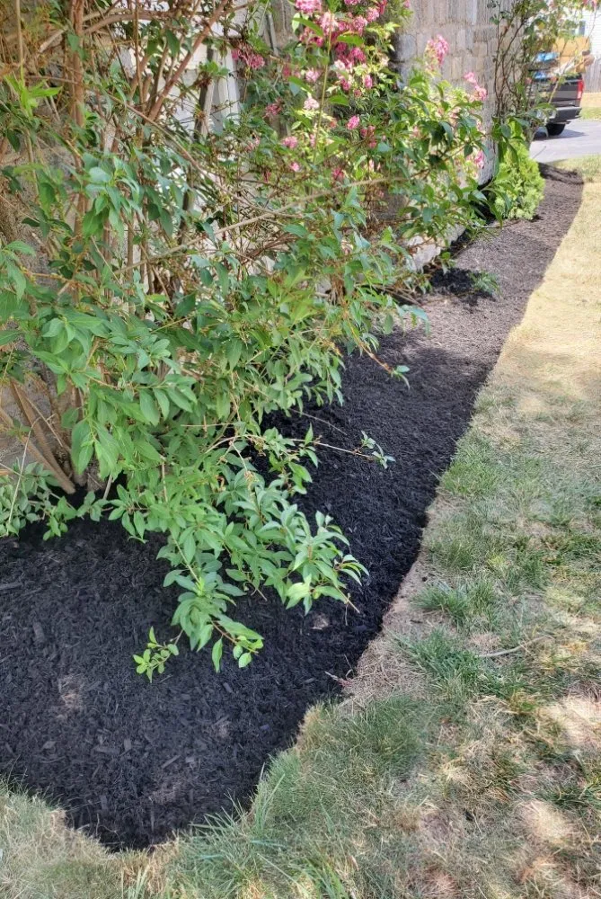 Affordable yard cleanup service in Hampton, NH - chapmans lawn care and maintenance