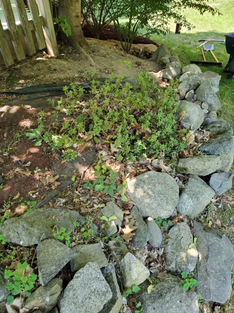 Affordable residential landscaping in Hampton, NH - chapmans lawn care and maintenance