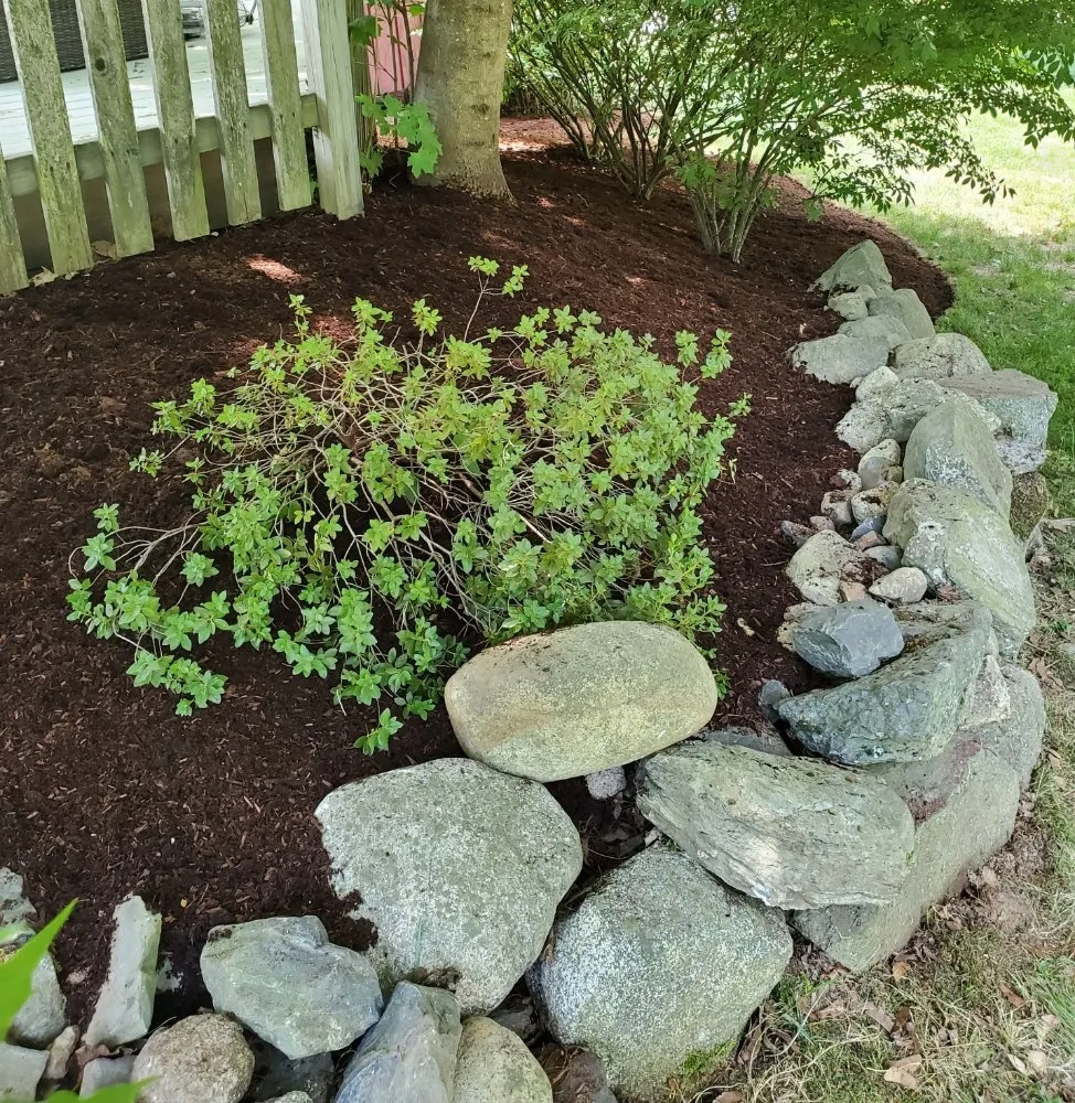 Reliable landscaping services in Hampton, NH - chapmans lawn care and maintenance