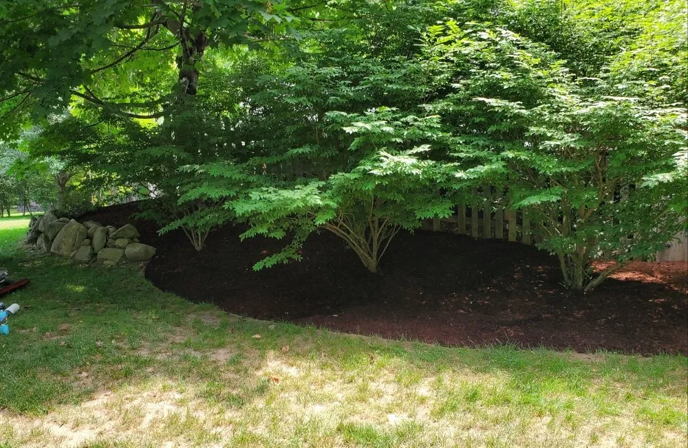 Local landscape installation near you in Hampton, NH by chapmans lawn care and maintenance