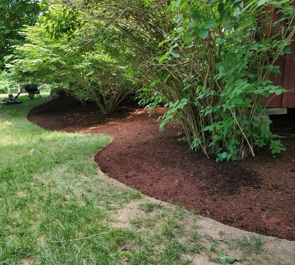 Professional lawn care service experts serving Hampton, NH - chapmans lawn care and maintenance