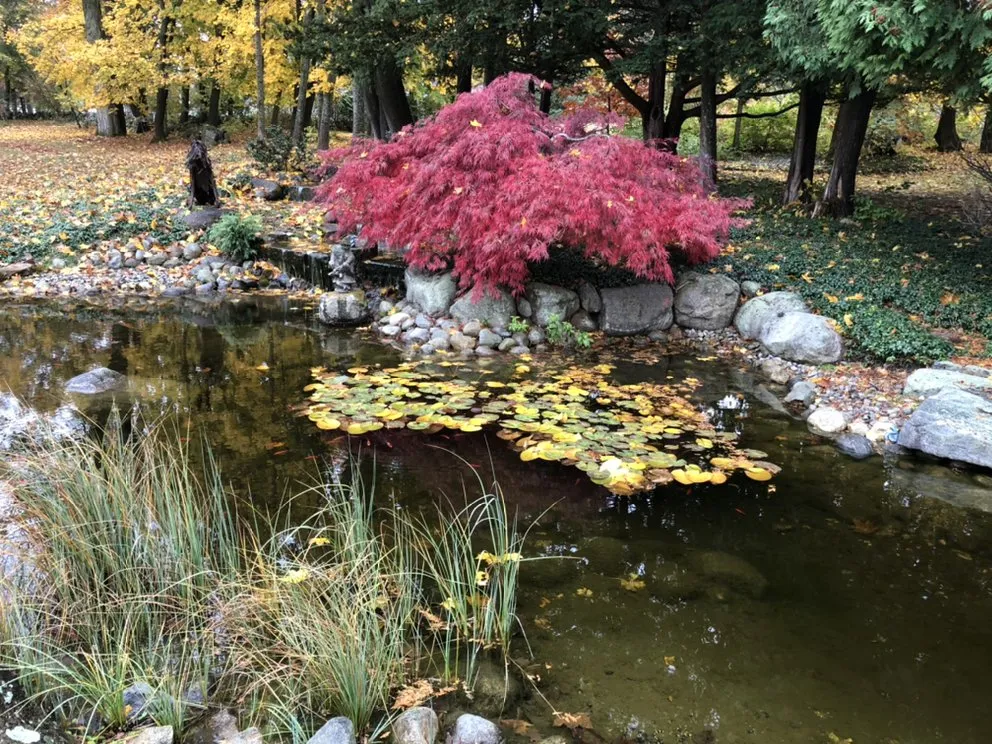 Affordable landscaping services in Clinton, MA - Chappell Tree And Landscape