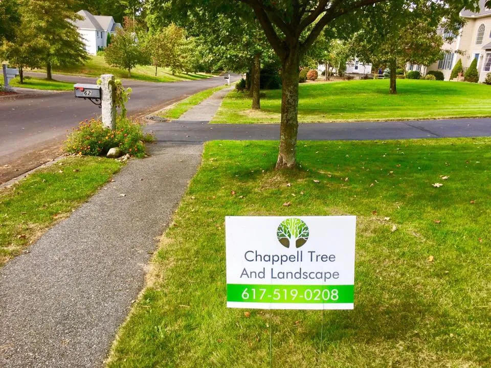 Reliable yard maintenance for residential properties in Clinton, MA by Chappell Tree And Landscape