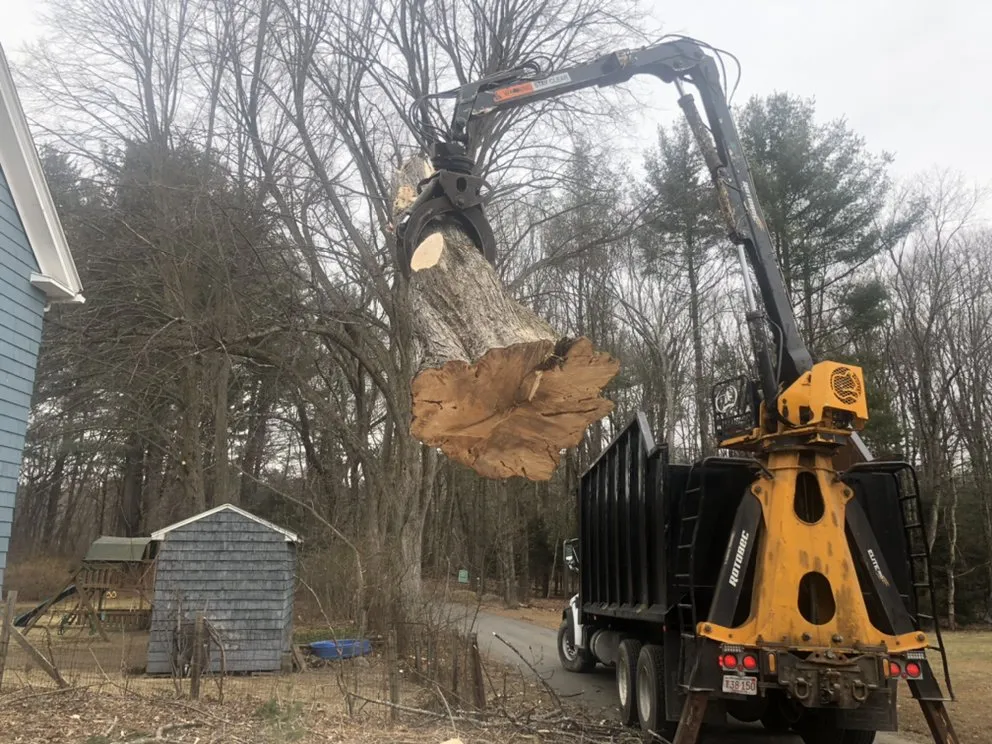 Expert outdoor landscaping experts serving Clinton, MA - Chappell Tree And Landscape