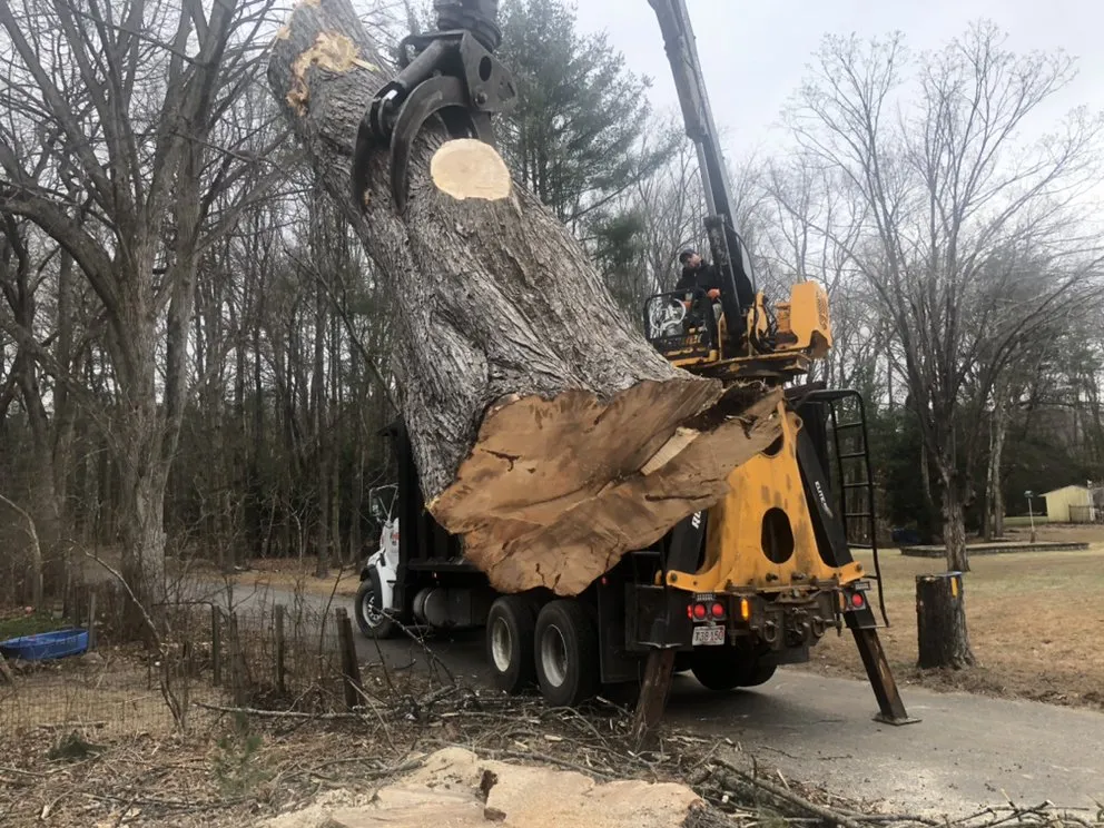 Custom lawn mowing service experts serving Clinton, MA - Chappell Tree And Landscape