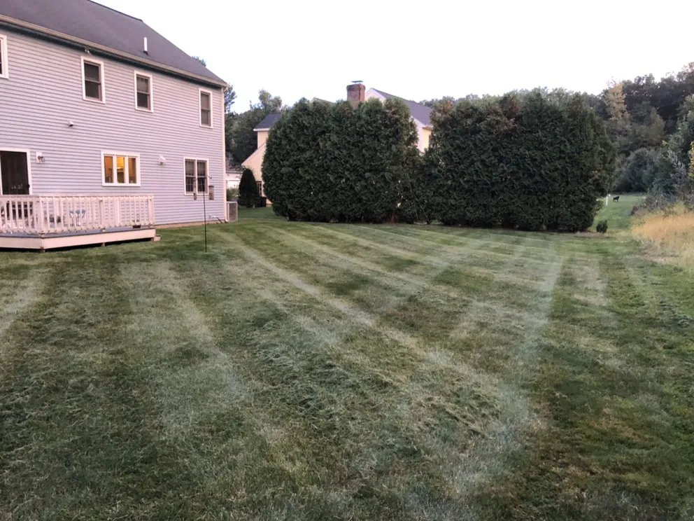 Local lawn care service experts serving Clinton, MA - Chappell Tree And Landscape