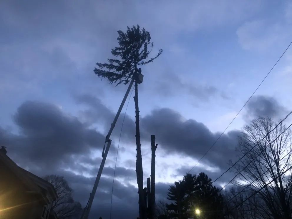 Local lawn mowing service experts serving Clinton, MA - Chappell Tree And Landscape