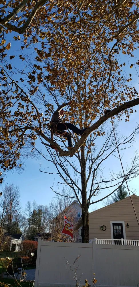 Expert lawn mowing service in Clinton, MA by Chappell Tree And Landscape