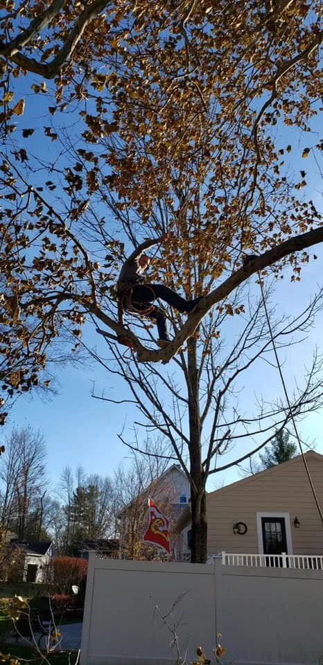 Trusted landscape design experts serving Clinton, MA - Chappell Tree And Landscape