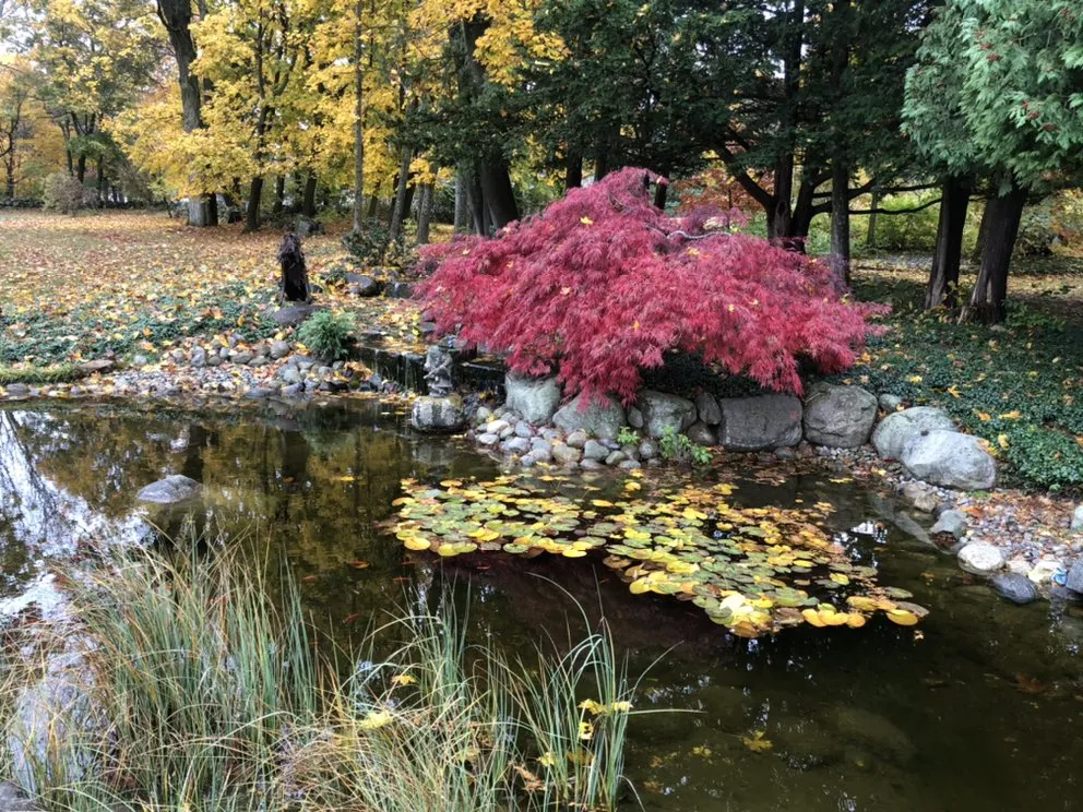 Reliable lawn mowing service in Clinton, MA - Chappell Tree And Landscape