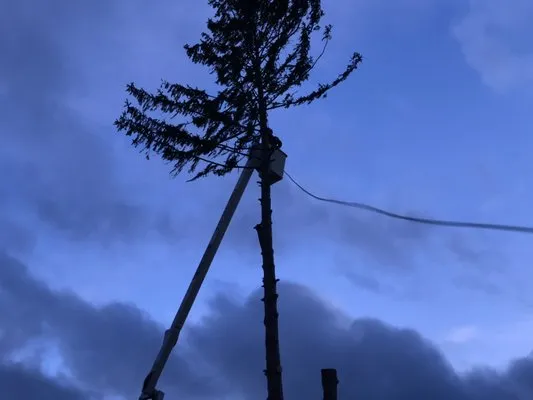 Chappell Tree And Landscape