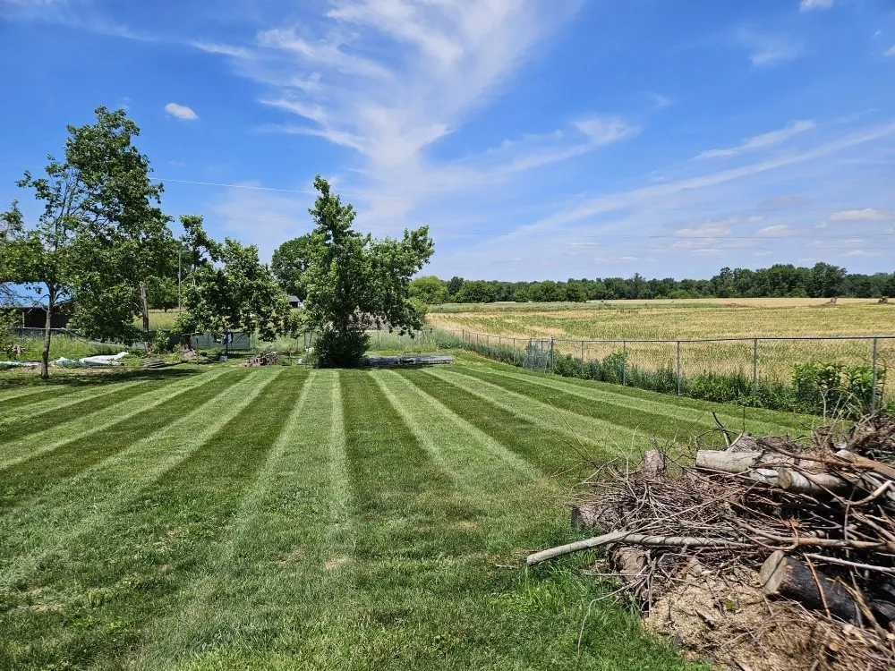 Expert lawn care service in Battle Creek, MI by Chappy's Lawn Service