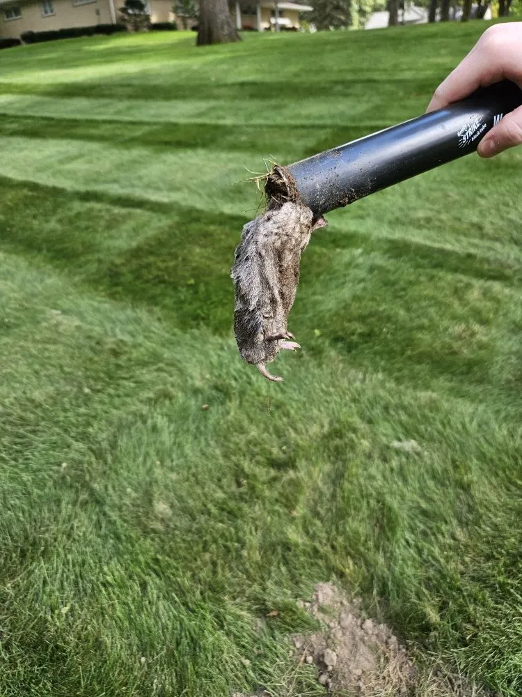 Professional residential landscaping with custom design in Battle Creek, MI by Chappy's Lawn Service