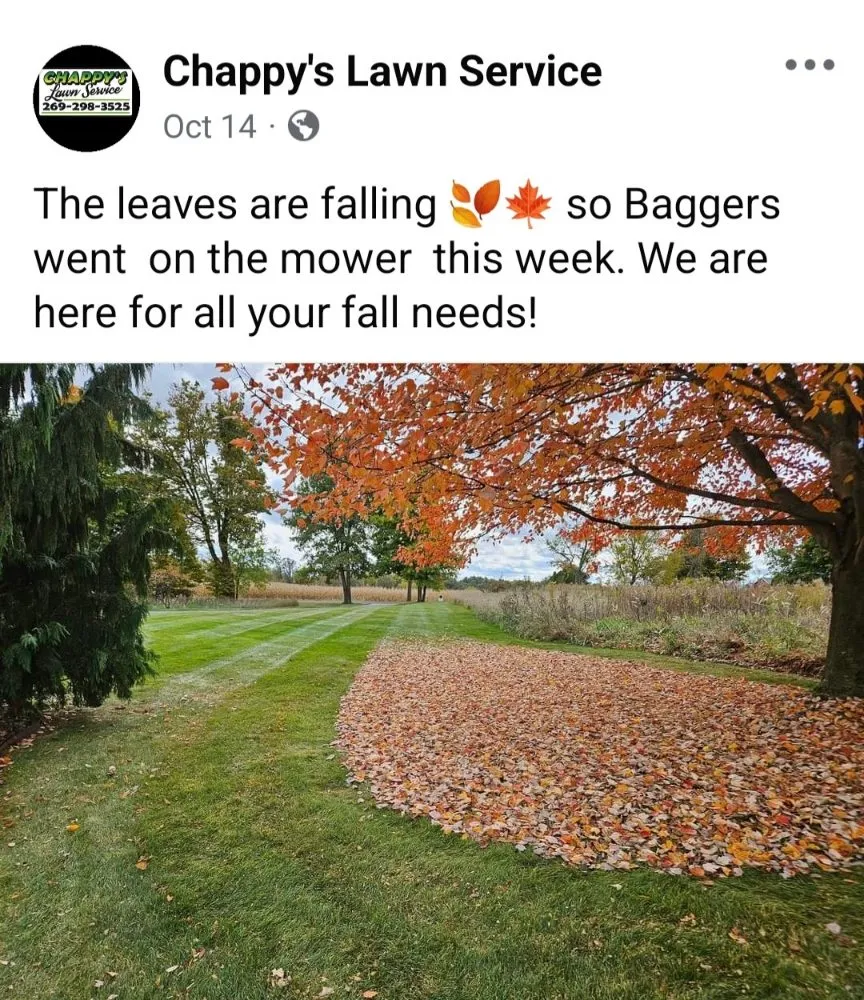 Professional landscaping services for outdoor upgrades in Battle Creek, MI by Chappy's Lawn Service