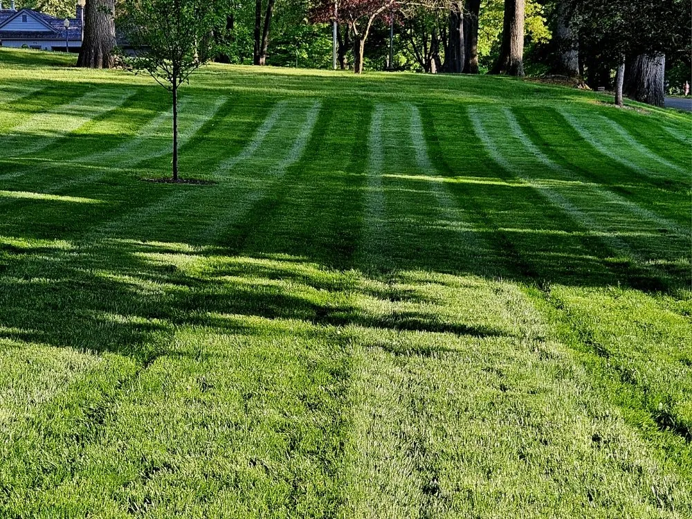 Expert outdoor landscaping near you in Battle Creek, MI by Chappy's Lawn Service