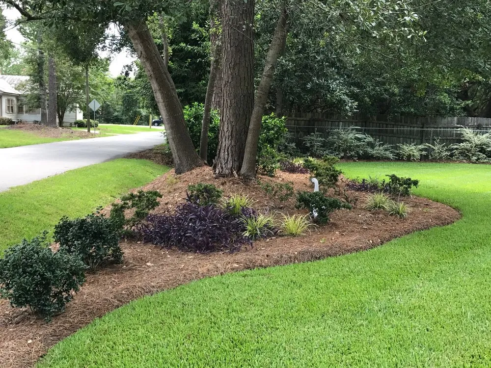 Reliable lawn mowing service in Easley, SC - Chappy’s Lawncare