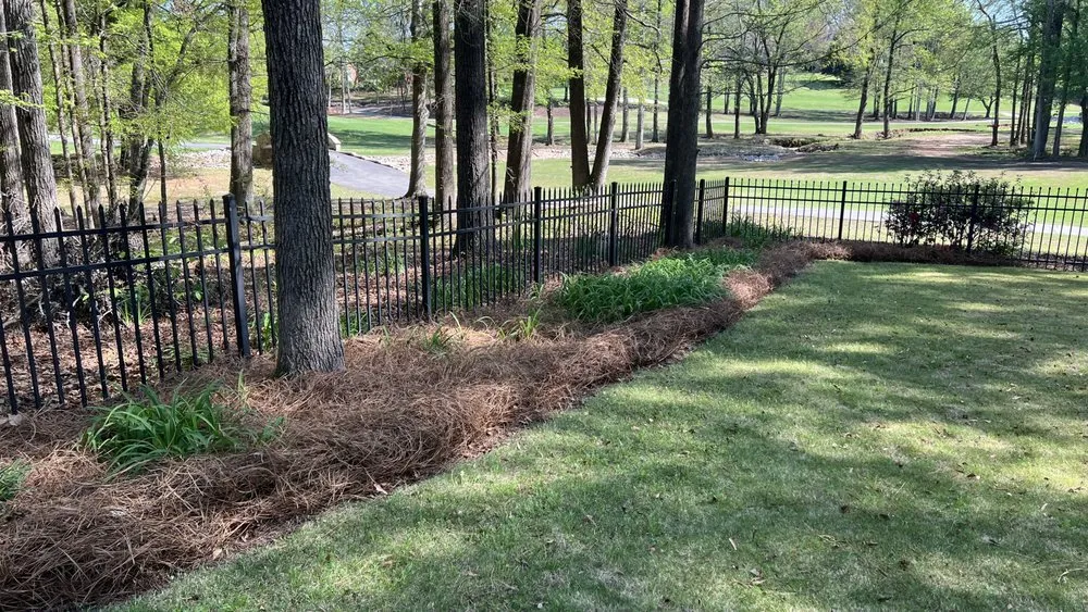 Top-rated landscaping services for outdoor upgrades in Easley, SC by Chappy’s Lawncare