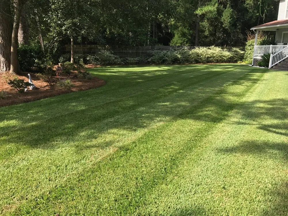 Top-rated residential landscaping in Easley, SC - Chappy’s Lawncare