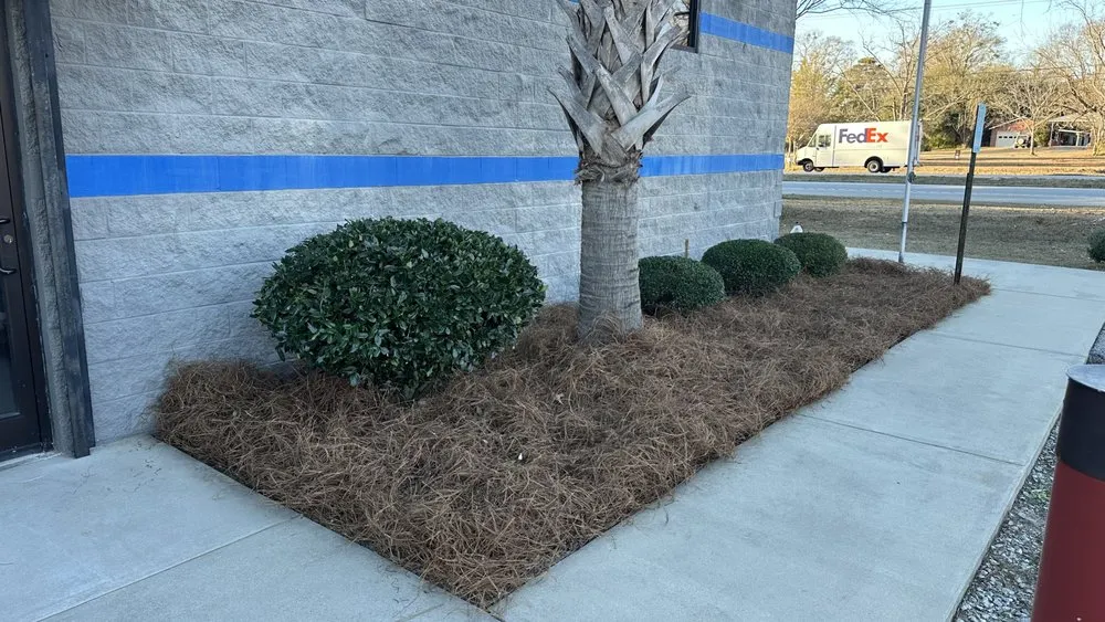 Professional yard maintenance for residential properties in Easley, SC by Chappy’s Lawncare