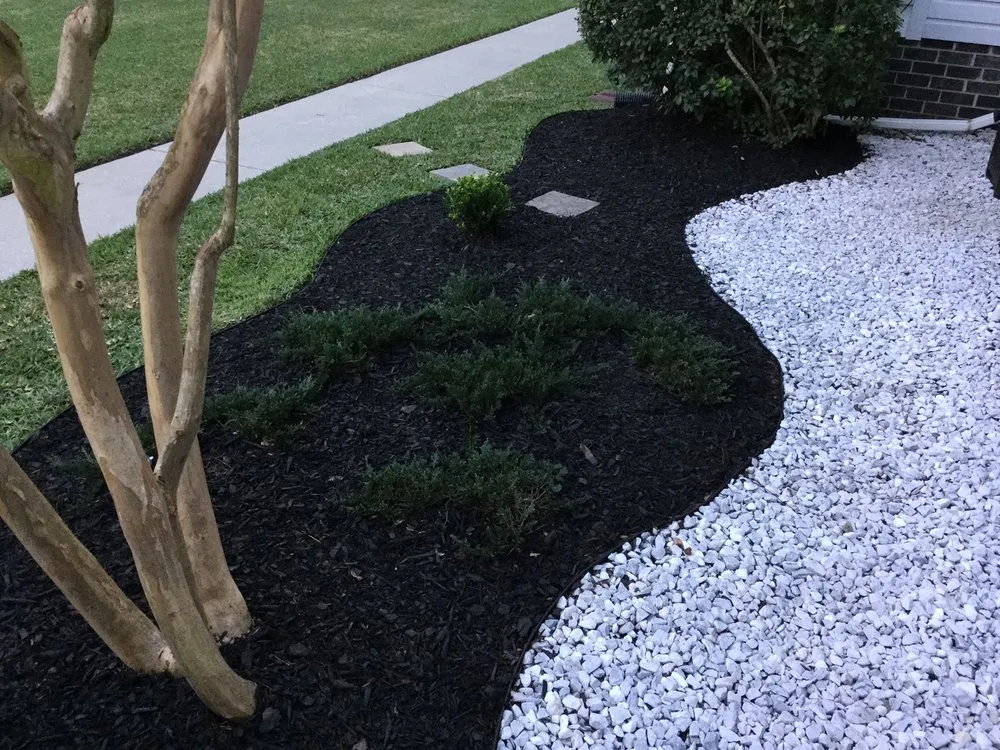 Trusted yard cleanup service in Easley, SC by Chappy’s Lawncare