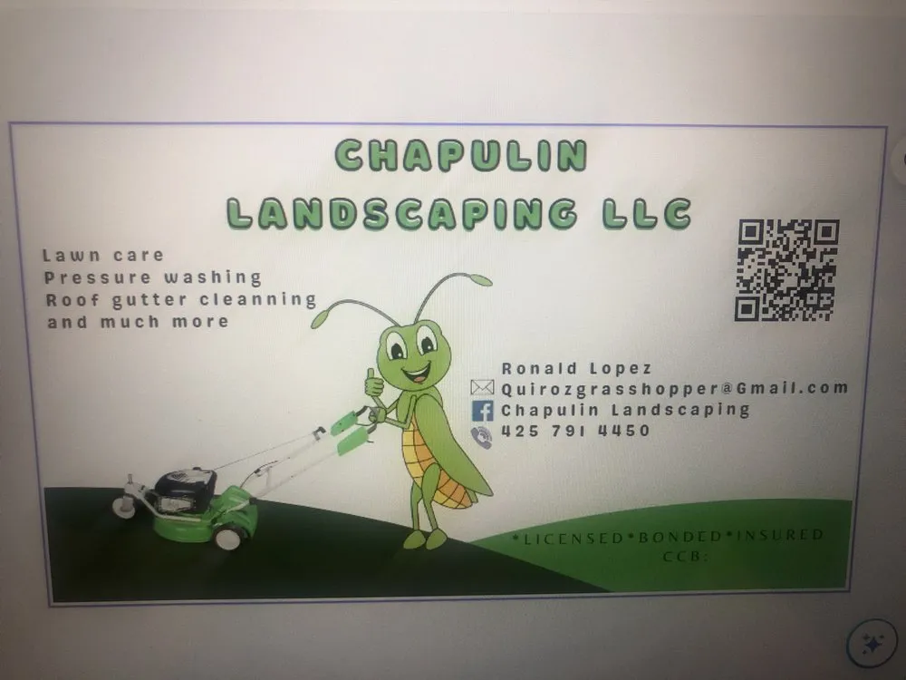 Top-rated yard cleanup service in Marysville, WA by Chapulin Landscaping