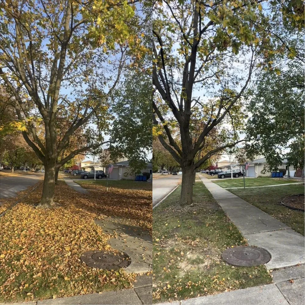 Top-rated landscape installation for beautiful yards in Roseville, MI by Char Lawncare