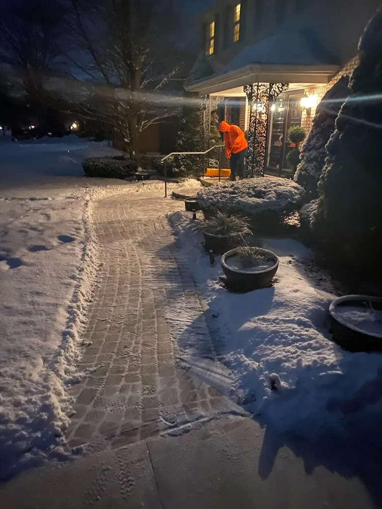 Professional yard cleanup service experts serving Roseville, MI - Char Lawncare