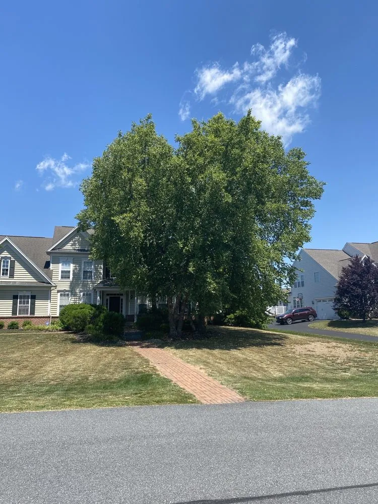 Custom lawn mowing service with custom design across Wilmington, DE - Charae Landscaping