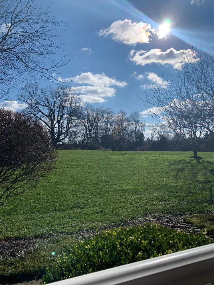 Custom yard maintenance experts serving Wilmington, DE - Charae Landscaping