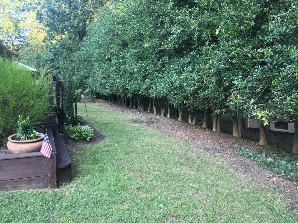 Reliable landscaping services for beautiful yards across Wilmington, DE - Charae Landscaping