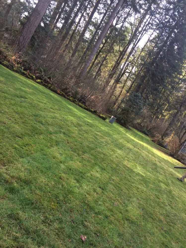 Reliable outdoor landscaping in Vancouver, WA by Charapo Landscaping