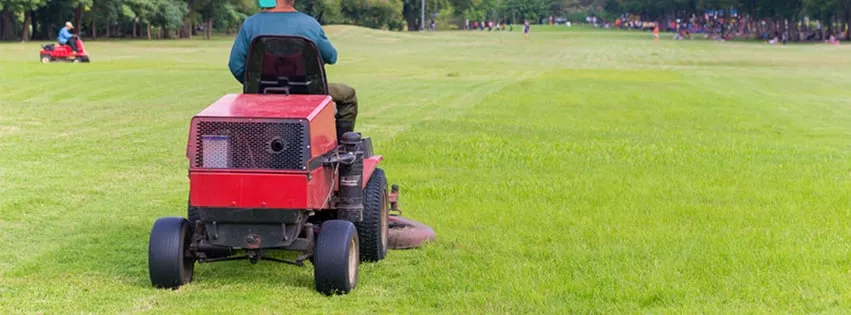 Top-rated garden landscaping in Vail, CO - Chards Yards